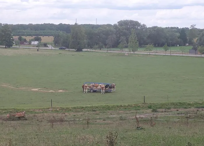 Lägenhet Gaestewohnung Vesta *